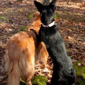 Meet your Posher, Barbara